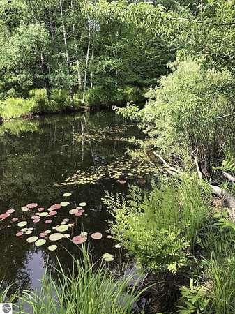 10 Acres of Land for Sale in Empire, Michigan