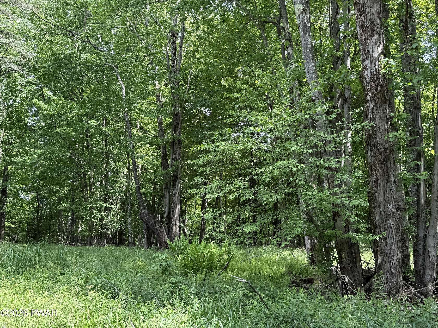 22.5 Acres of Recreational Land for Sale in Pleasant Mount, Pennsylvania