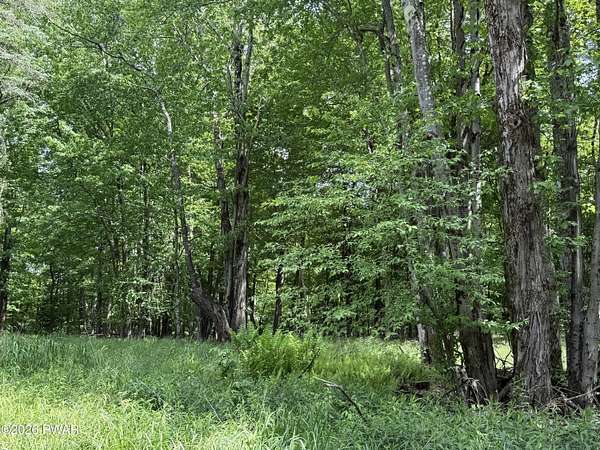 22.5 Acres of Recreational Land for Sale in Pleasant Mount, Pennsylvania