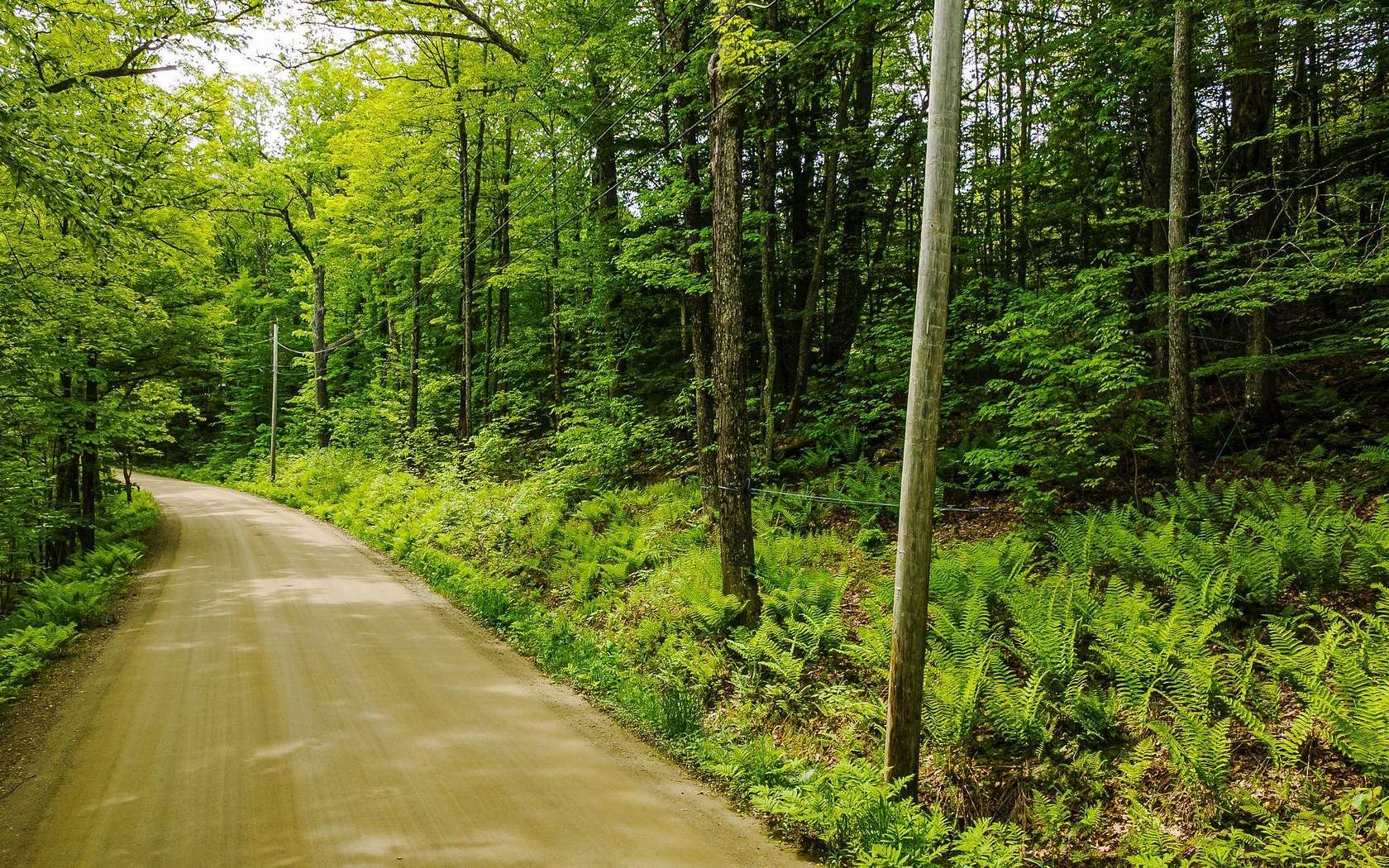 5.2 Acres of Residential Land for Sale in Alstead, New Hampshire