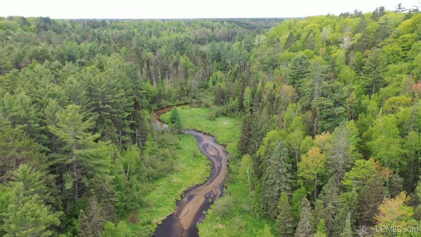 74 Acres of Recreational & Residential Land for Sale in Skandia, Michigan