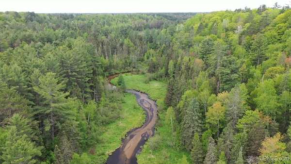 74 Acres of Recreational & Residential Land for Sale in Skandia, Michigan
