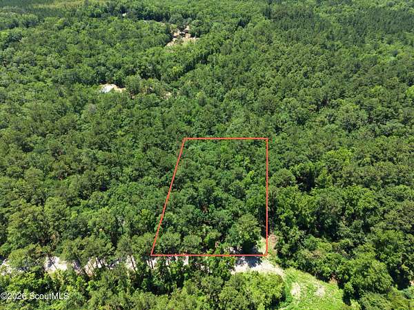 4.45 Acres of Residential Land for Sale in Waverly, Georgia