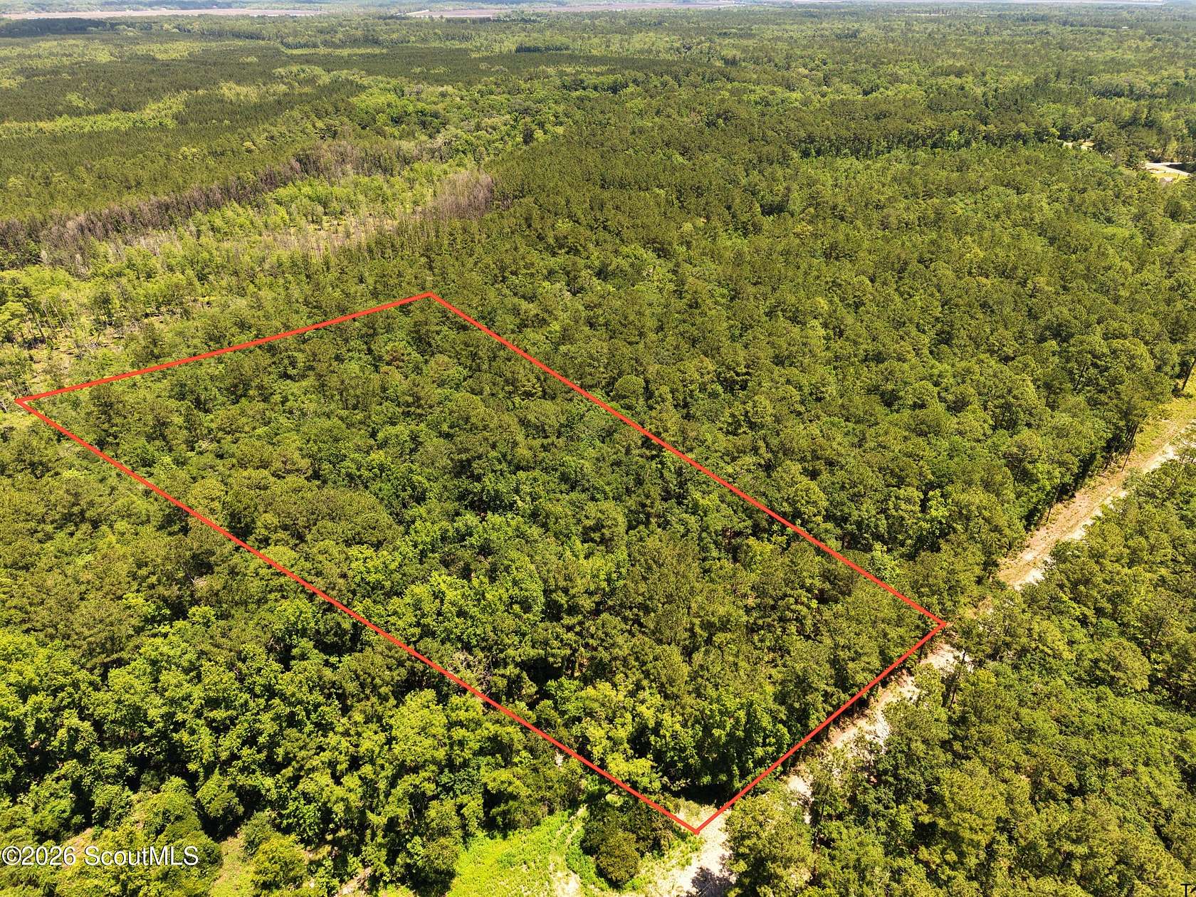 12.6 Acres of Recreational & Residential Land for Sale in Waverly, Georgia
