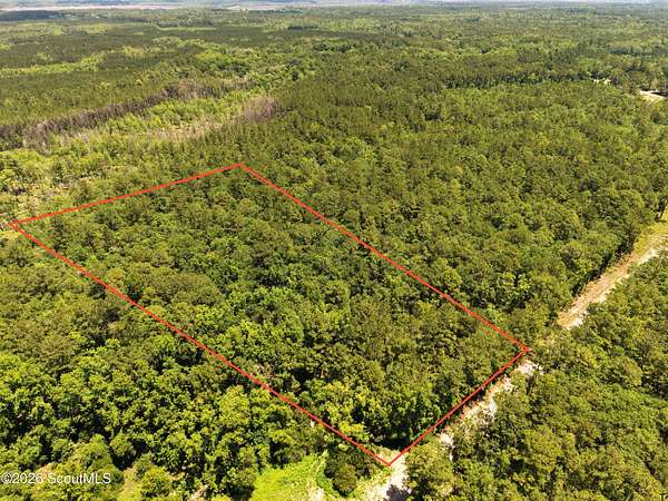 12.6 Acres of Recreational & Residential Land for Sale in Waverly, Georgia