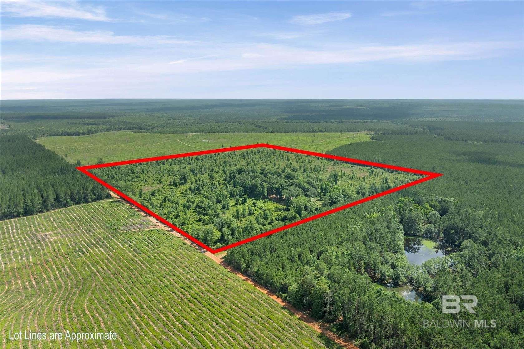 41 Acres of Recreational Land for Sale in Bay Minette, Alabama