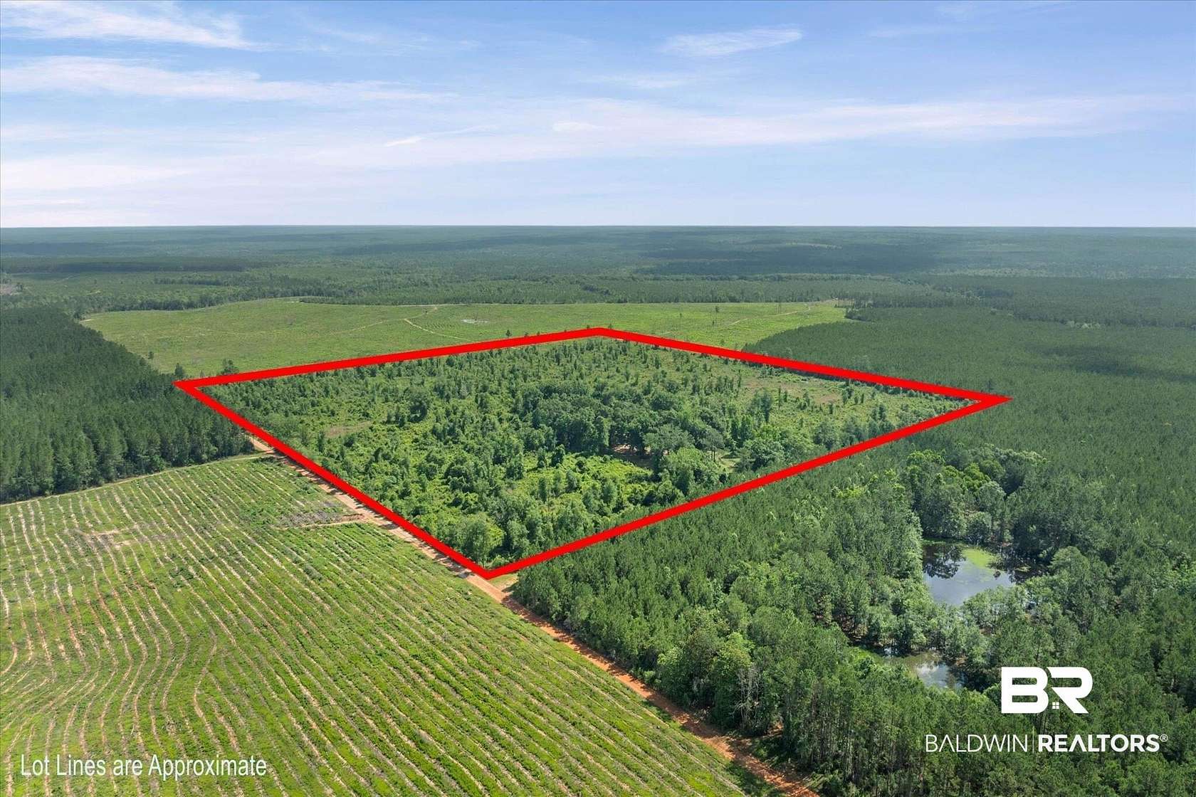41 Acres of Recreational Land for Sale in Bay Minette, Alabama