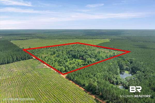 41 Acres of Recreational Land for Sale in Bay Minette, Alabama
