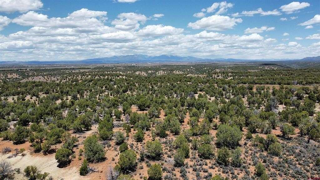 40 Acres of Land for Sale in Ignacio, Colorado