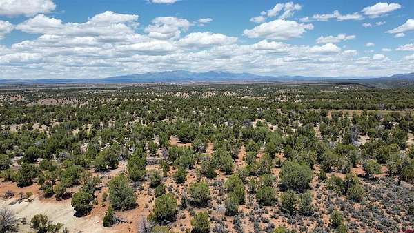 40 Acres of Land for Sale in Ignacio, Colorado