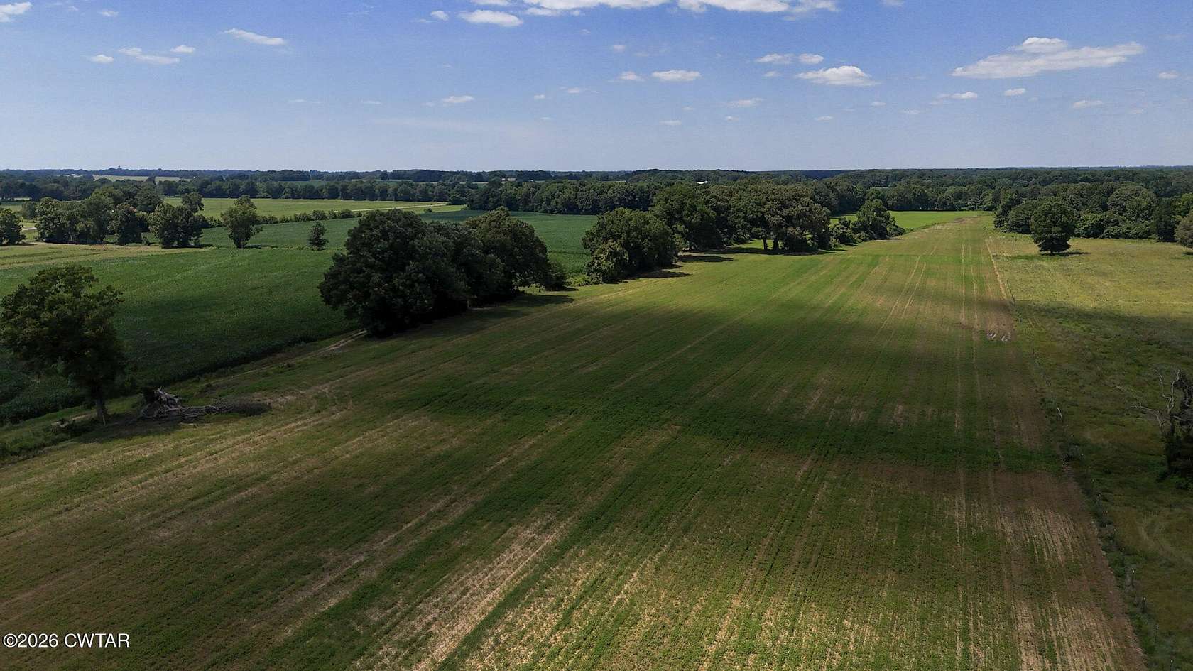 29 Acres of Agricultural & Residential Land for Sale in Alamo, Tennessee