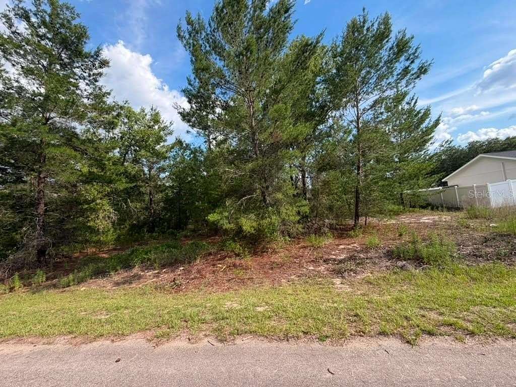 0.24 Acres of Residential Land for Sale in Ocklawaha, Florida
