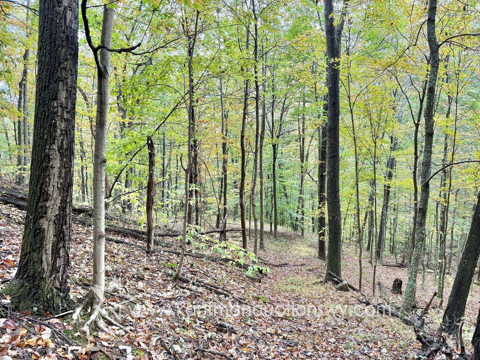 51.3 Acres of Recreational & Residential Land for Sale in Arnoldsburg, West Virginia