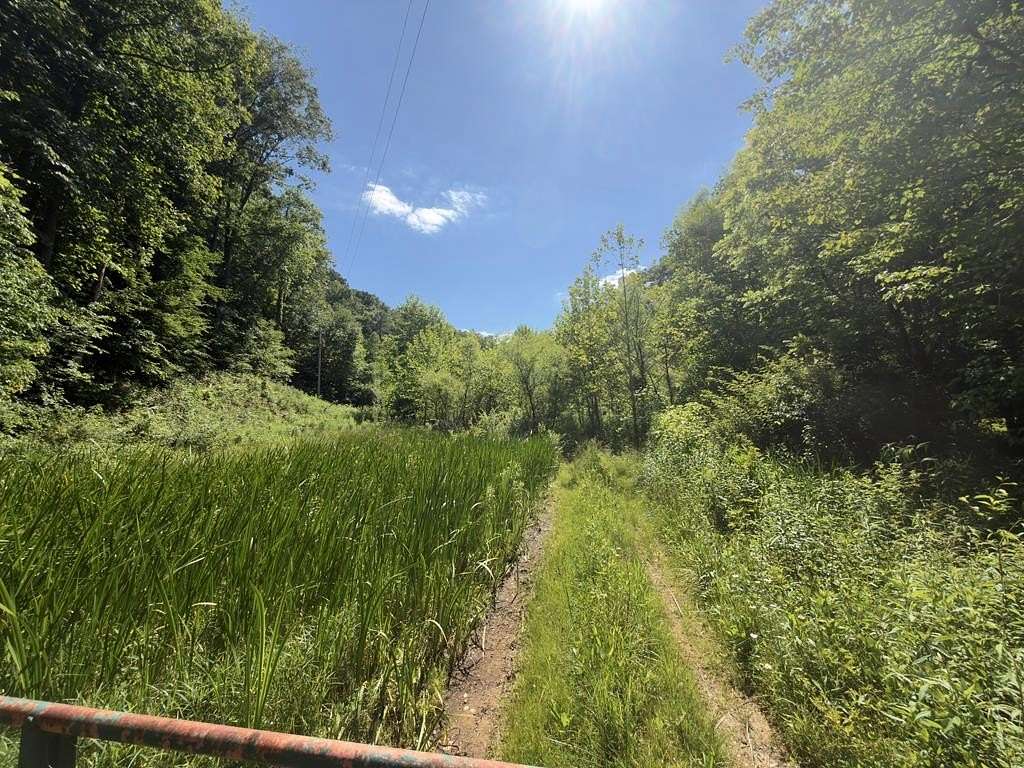 37.5 Acres of Recreational & Residential Land for Sale in Louisa, Kentucky