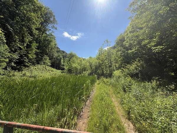 37.5 Acres of Recreational & Residential Land for Sale in Louisa, Kentucky