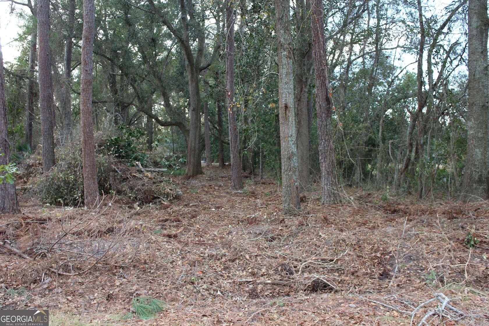 0.36 Acres of Land for Sale in Lenox, Georgia