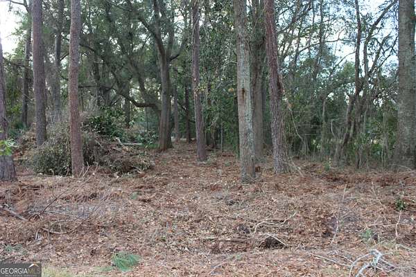 0.36 Acres of Land for Sale in Lenox, Georgia