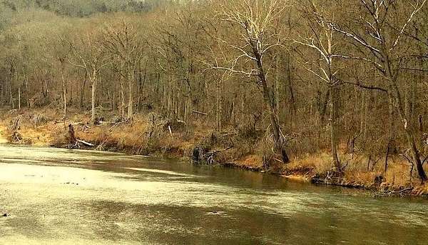 69.5 Acres of Recreational & Residential Land for Sale in Tecumseh, Missouri