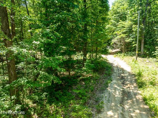 0.55 Acres of Residential Land for Sale in Tallassee, Tennessee