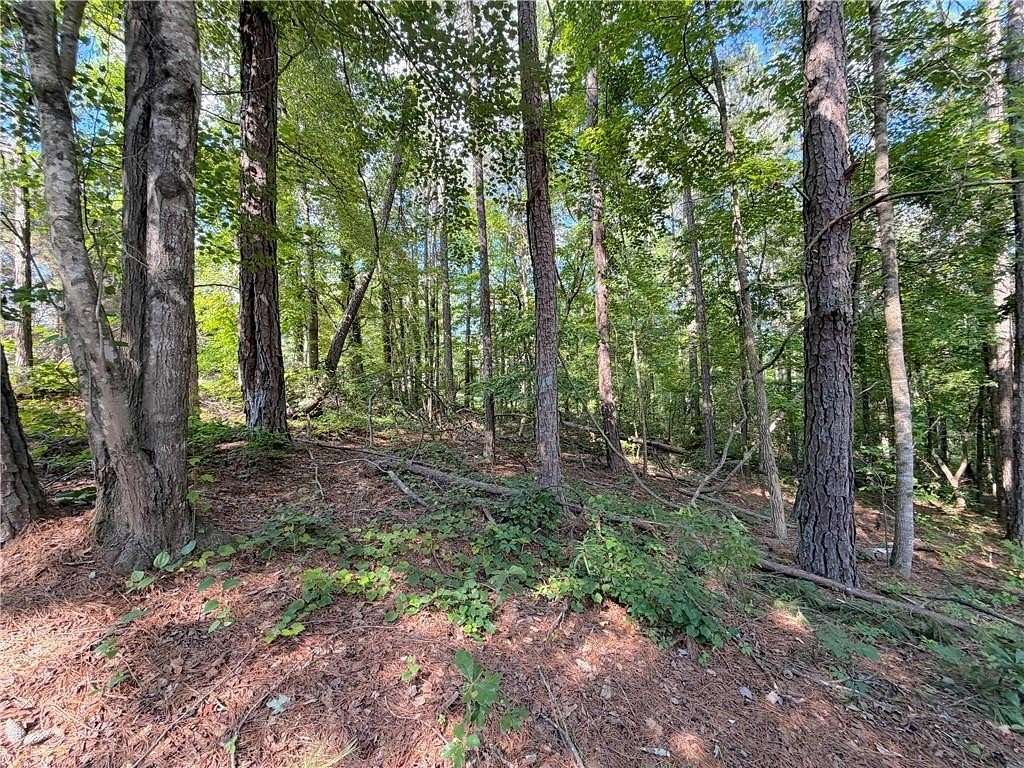 0.34 Acres of Residential Land for Sale in Villa Rica, Georgia