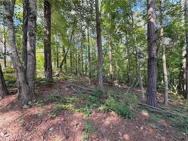0.34 Acres of Residential Land for Sale in Villa Rica, Georgia