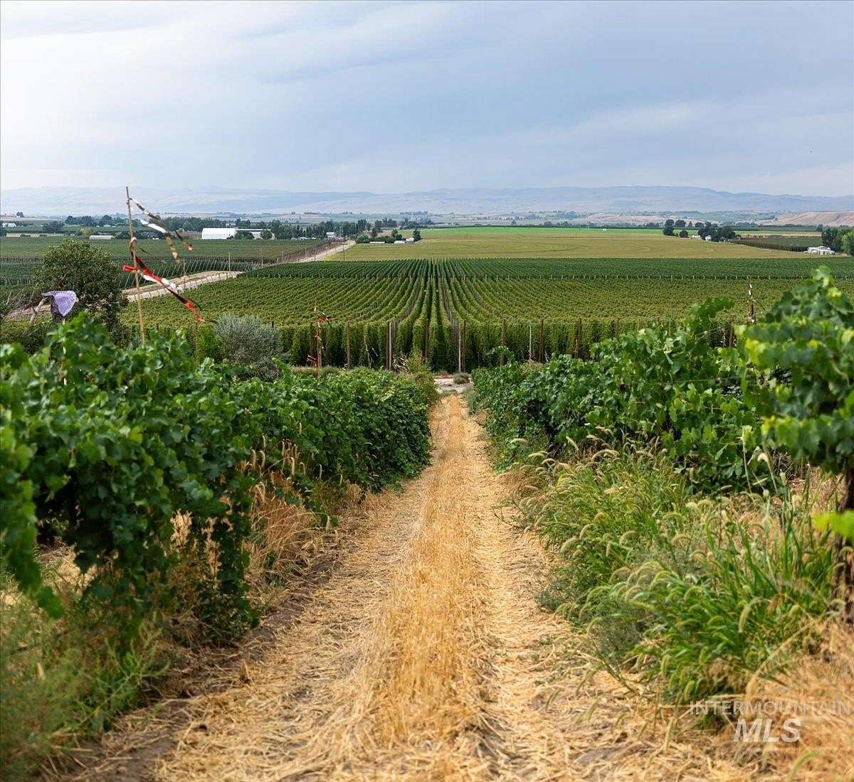 94.5 Acres of Agricultural Land with Home for Sale in Parma, Idaho