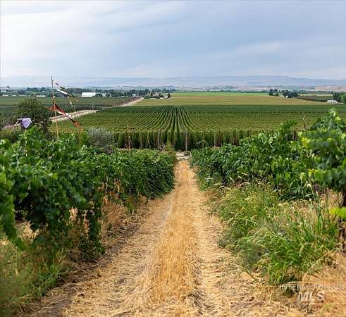 94.5 Acres of Agricultural Land with Home for Sale in Parma, Idaho