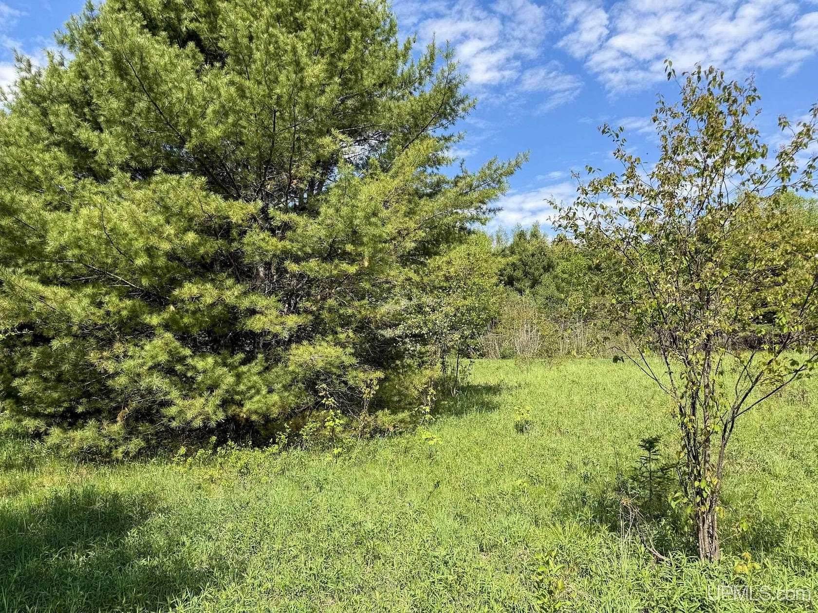 40 Acres of Land for Sale in Lake Linden, Michigan