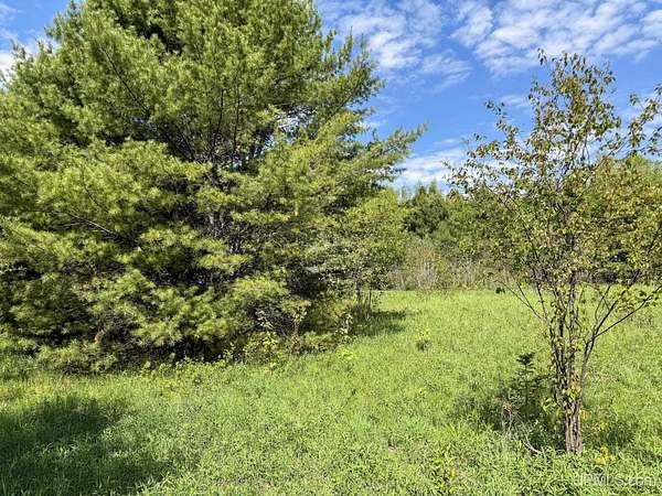 40 Acres of Land for Sale in Lake Linden, Michigan