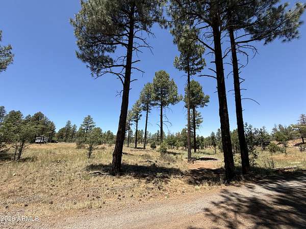 2 Acres of Land for Sale in Show Low, Arizona