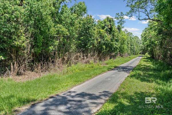 20 Acres of Recreational & Residential Land for Sale in Foley, Alabama