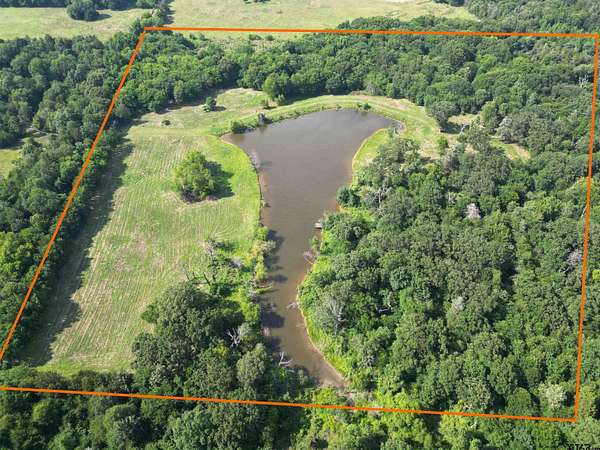 29.3 Acres of Recreational & Residential Land for Sale in Saltillo, Texas