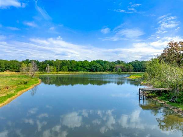 29.3 Acres of Recreational & Residential Land for Sale in Saltillo, Texas