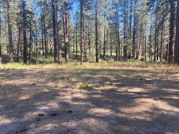 0.14 Acres of Land for Sale in Portola, California