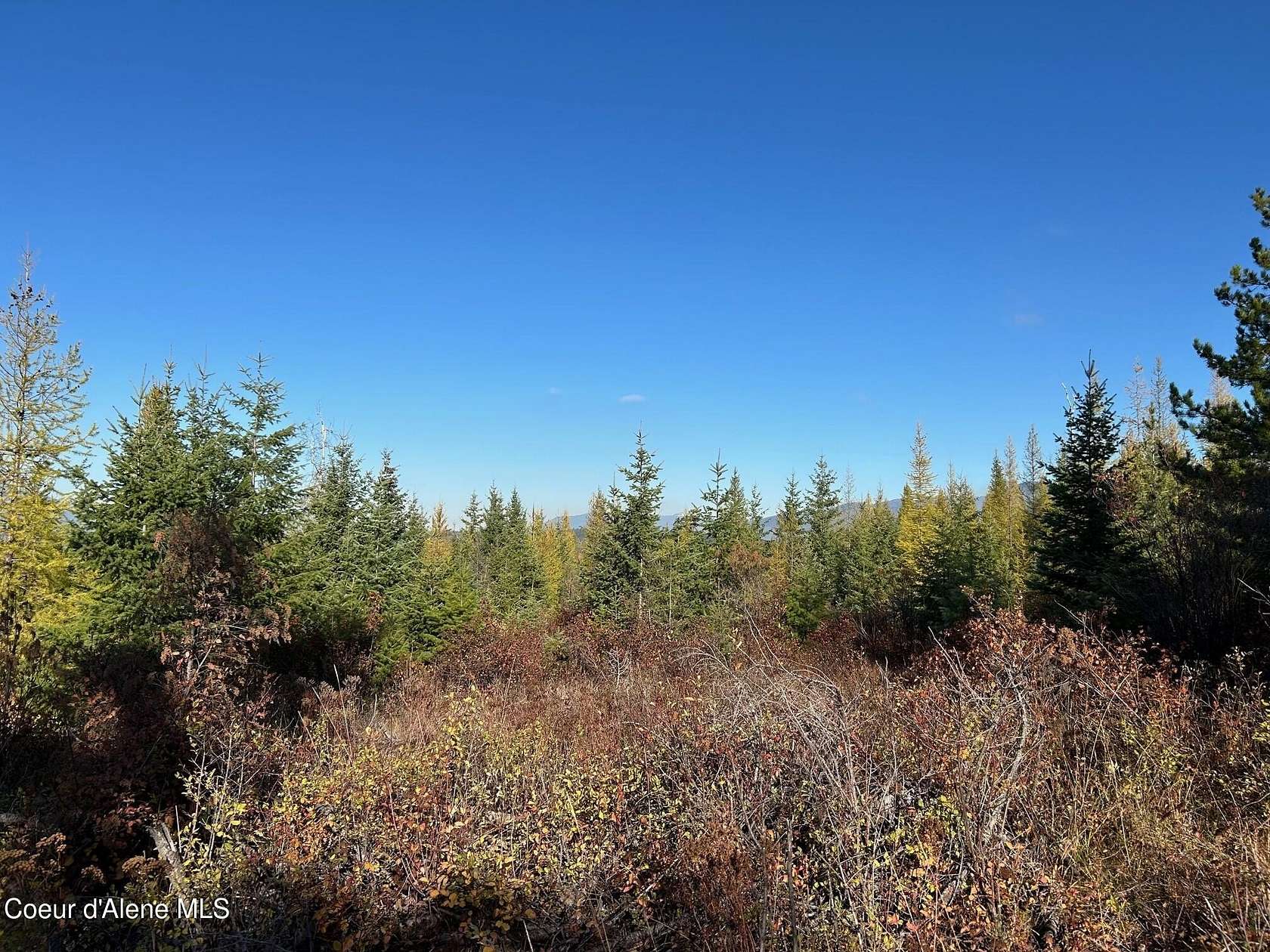40 Acres of Recreational Land for Sale in Bonners Ferry, Idaho