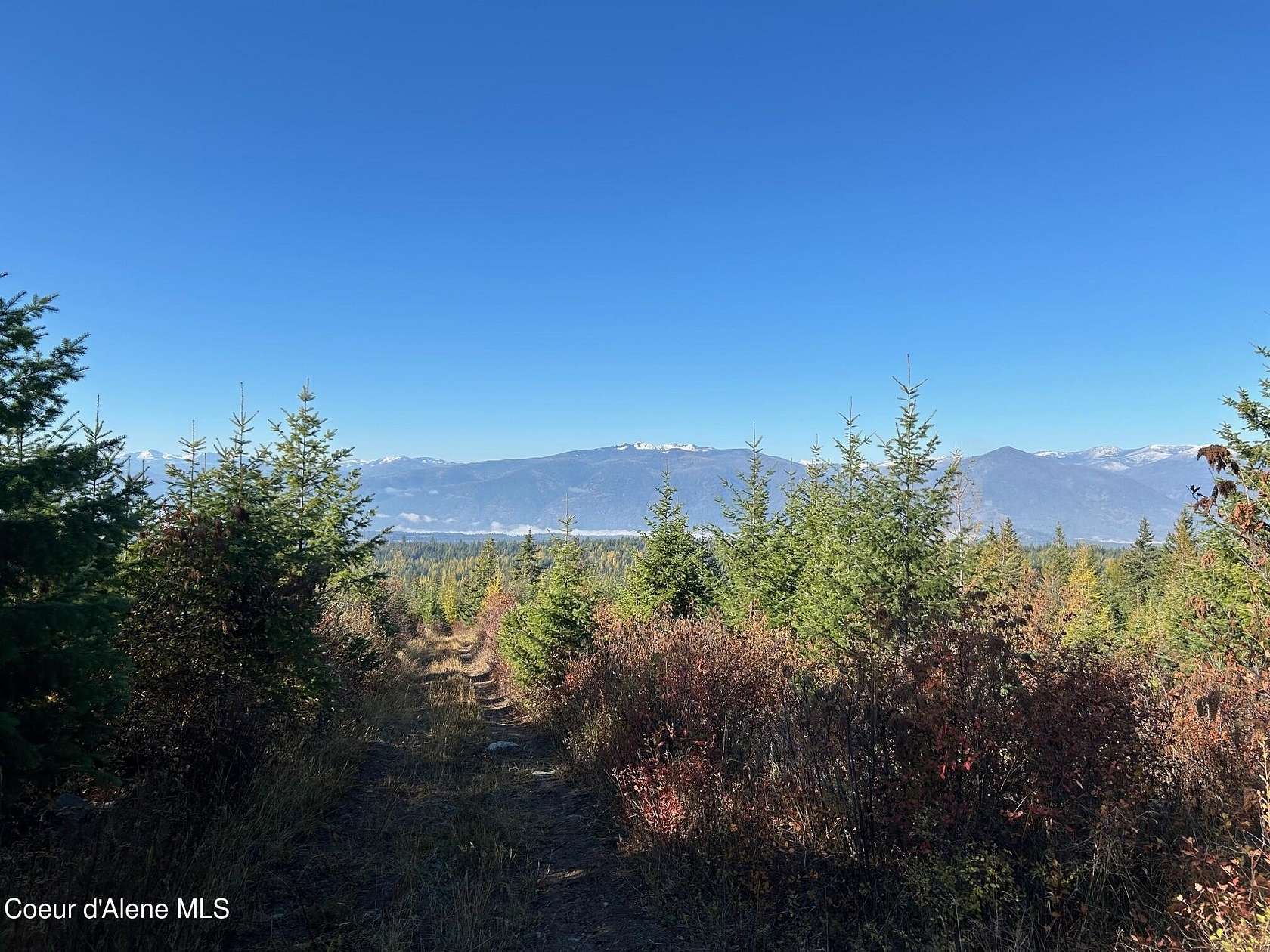 40.1 Acres of Recreational & Residential Land for Sale in Bonners Ferry, Idaho
