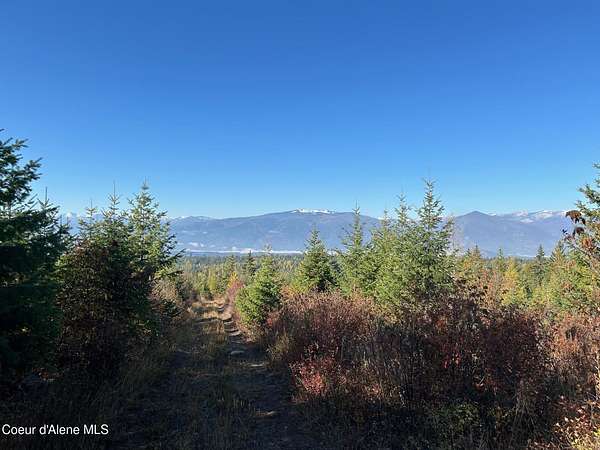 40.1 Acres of Recreational & Residential Land for Sale in Bonners Ferry, Idaho