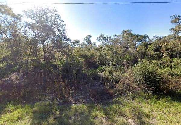 0.16 Acres of Residential Land for Sale in Kissimmee, Florida
