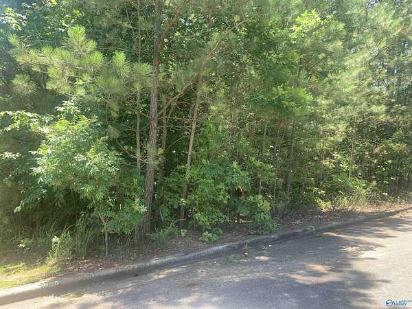 Residential Land for Sale in Leesburg, Alabama
