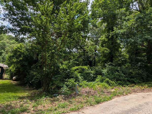 0.3 Acres of Land for Sale in Ozark Acres, Arkansas