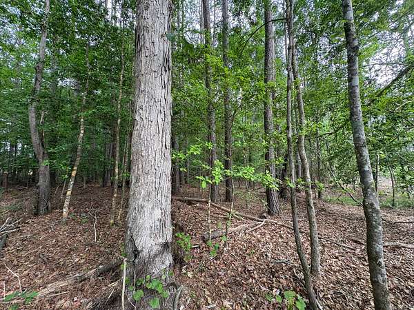 13 Acres of Recreational Land for Sale in Strong, Arkansas