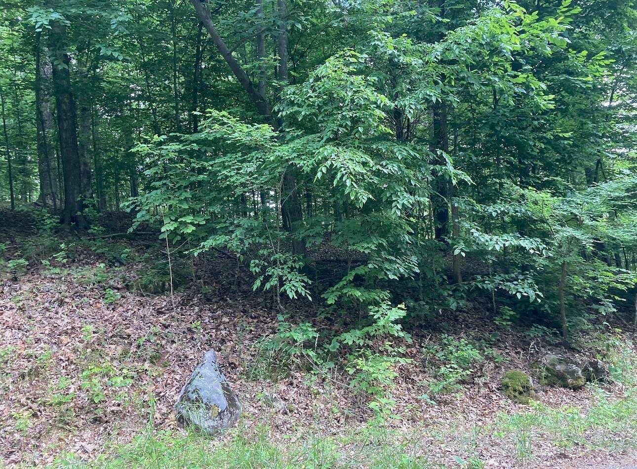 0.4 Acres of Residential Land for Sale in Erin, Tennessee