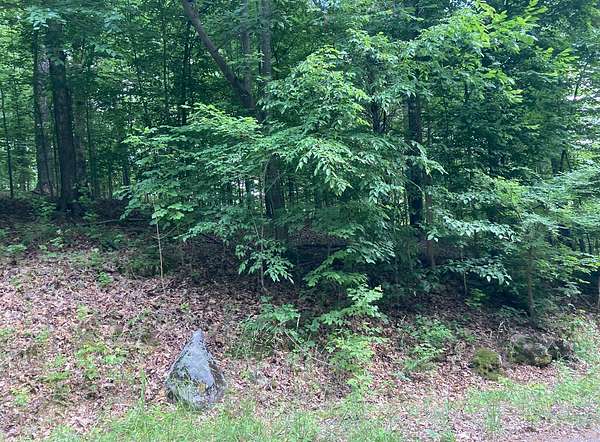 0.4 Acres of Residential Land for Sale in Erin, Tennessee