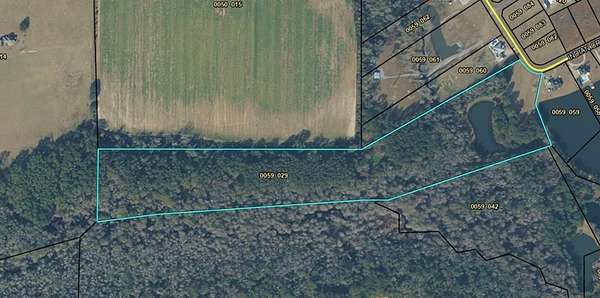 34.6 Acres of Agricultural & Residential Land for Sale in Adel, Georgia