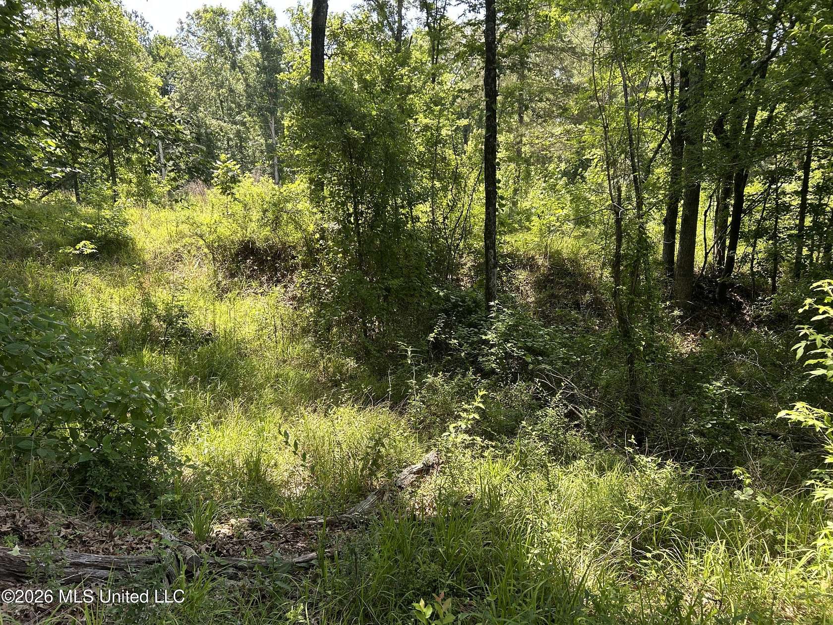 3.16 Acres of Residential Land for Sale in Terry, Mississippi