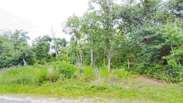 1 Acre of Land for Sale in Wesley Chapel, Florida