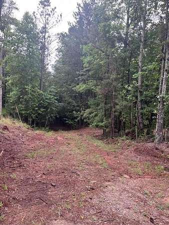 49 Acres of Land for Sale in Villa Rica, Georgia