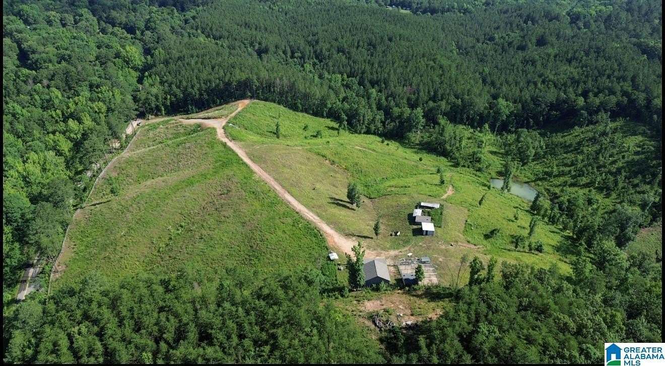 20 Acres of Land for Sale in Mulga, Alabama