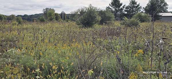 2.4 Acres of Residential Land for Sale in Chelsea, Michigan