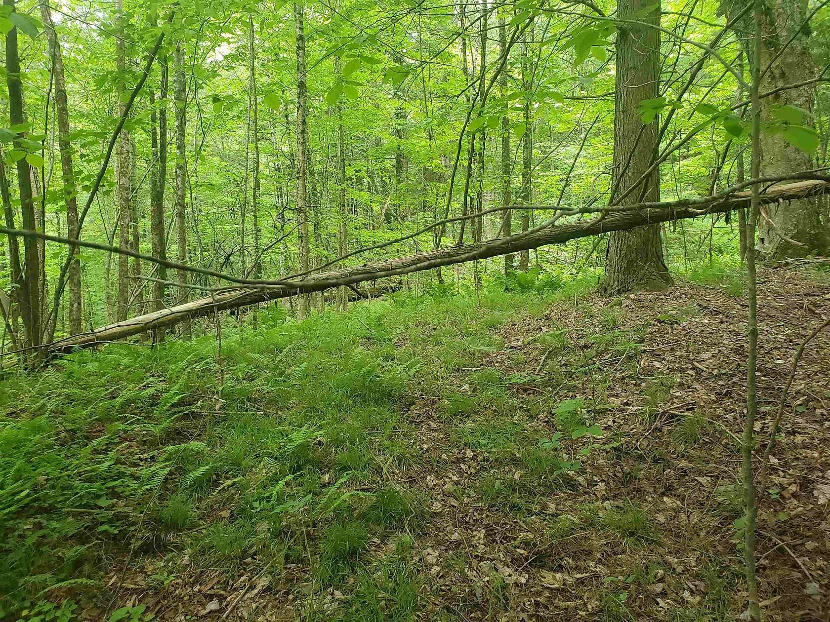 10.5 Acres of Recreational & Residential Land for Sale in Coventry, Vermont